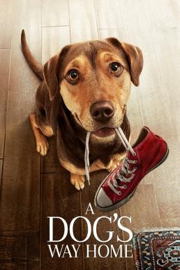 A Dog's Way Home เพื่อนรักผจญภัยสี่ร้อยไมล์ (2019)