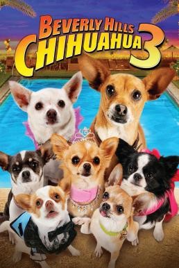 Beverly Hills Chihuahua 3: Viva La Fiesta! คุณหมาไฮโซ โกบ้านนอก 3 (2012)