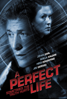 A Perfect Life พิศวาสสีเลือด (2010)