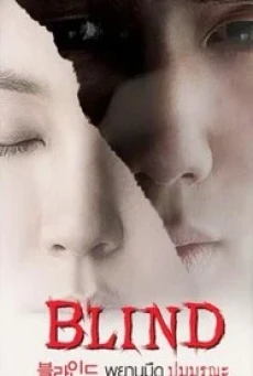 Blind (Beul-la-in-deu) พยานมืดปมมรณะ (2011) - ดูหนังออนไลน